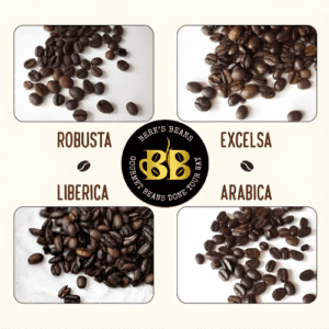 Arabica, Robusta, Liberica, and Excelsa